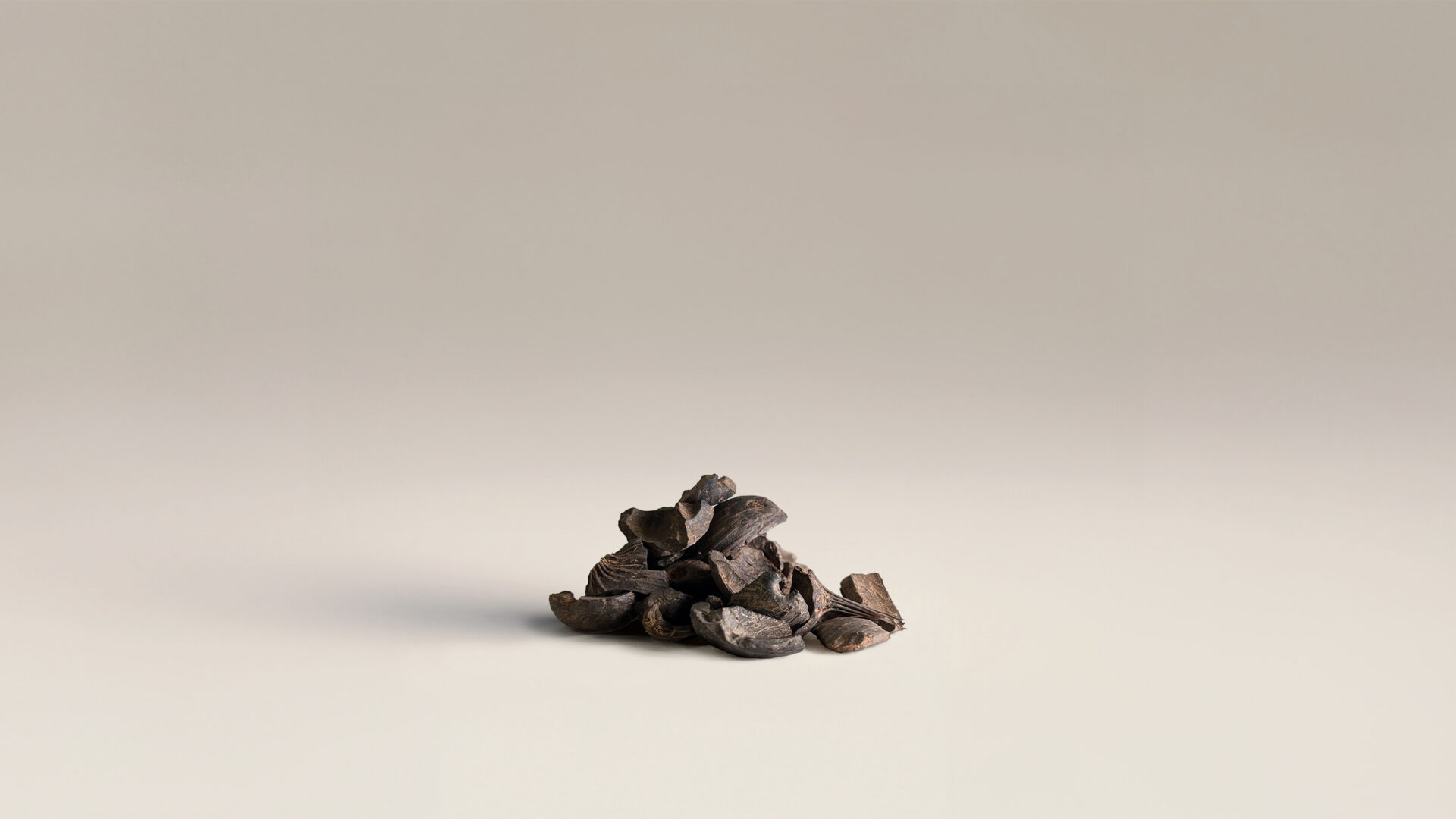 Palm Kernel Shells (PKS) | CM Biomass
