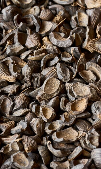 Palm Kernel Shells (PKS) | CM Biomass